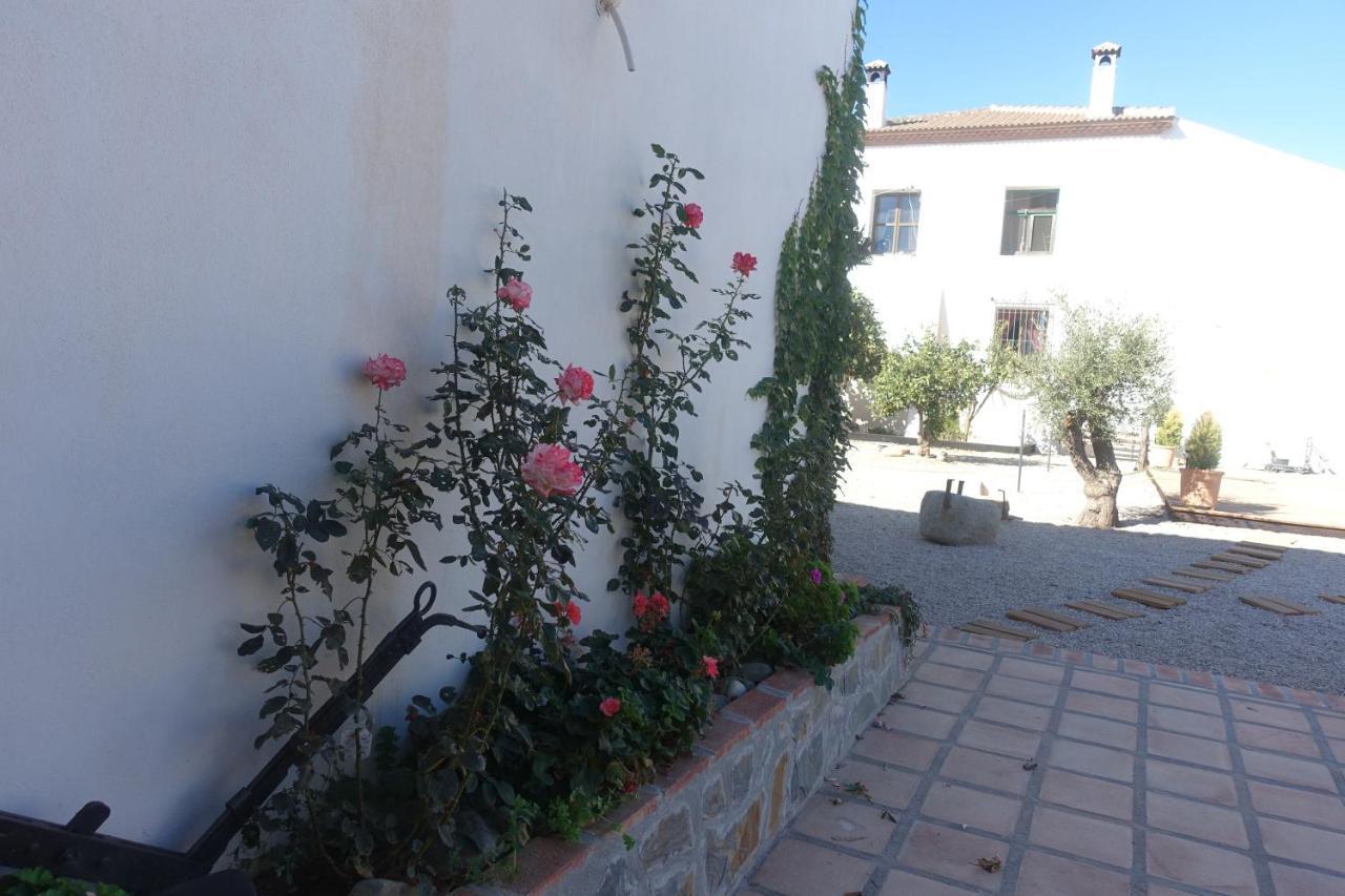 מאלגה Galwey, Tourist Appartments With Wifi מראה חיצוני תמונה