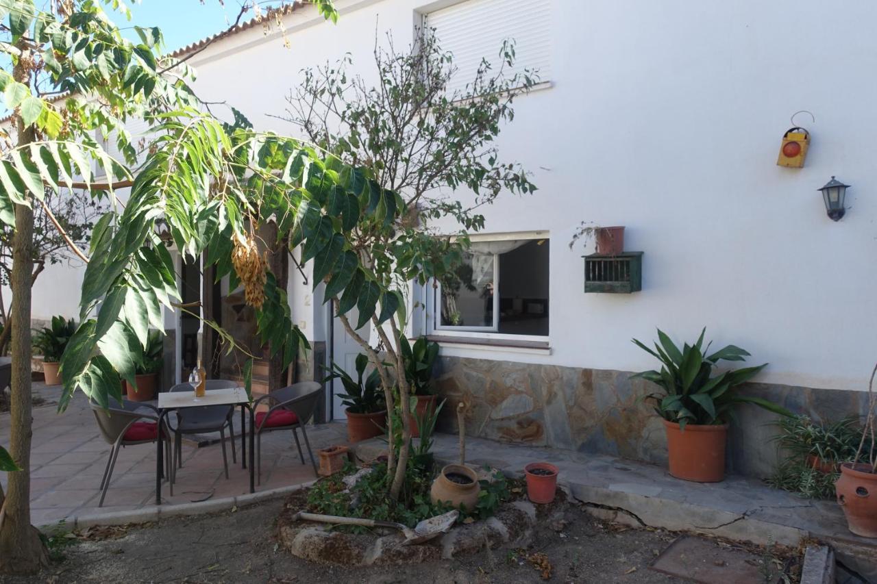 מאלגה Galwey, Tourist Appartments With Wifi מראה חיצוני תמונה
